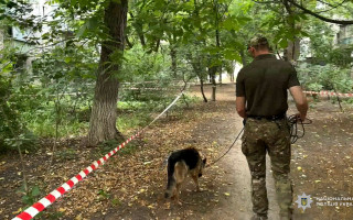 Задушил, а затем выбросил тело в коробке: задержан вероятный убийца 7-летней Соломии Тарасюк из Одессы, фото и видео