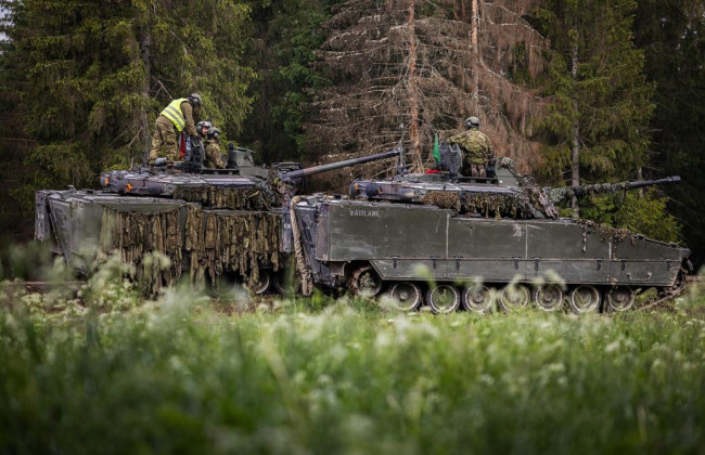 Эстония начала возведение «стены сдерживания» на границе с Россией