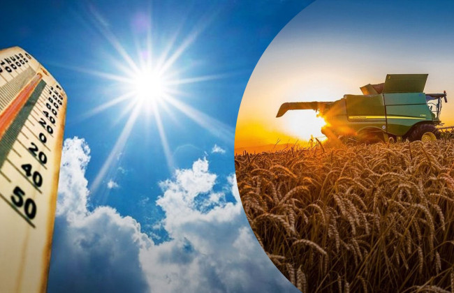 Работаете под палящим солнцем — как избежать теплового стресса во время работы в жару