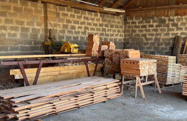 В Одесской области будут судить предпринимателя, незаконно экспортировавшего древесину в ЕС