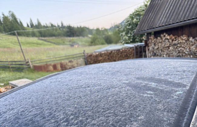 В высокогорном селе на Буковине летом трава и клубника покрылись инеем