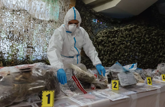 Россиянам предложили сдавать ДНК за границей для идентификации тел оккупантов, которые РФ передала Украине, — МВД