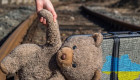 Шанс на сім’ю – уряд дозволив брати під опіку дітей, евакуйованих за кордон