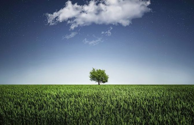 Экоконтроль по-новому – правительство одобрило стратегию реформы экологического надзора до 2029 года