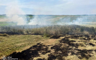 На Закарпатье пенсионерка погибла в пожаре из-за сжигания сухой травы