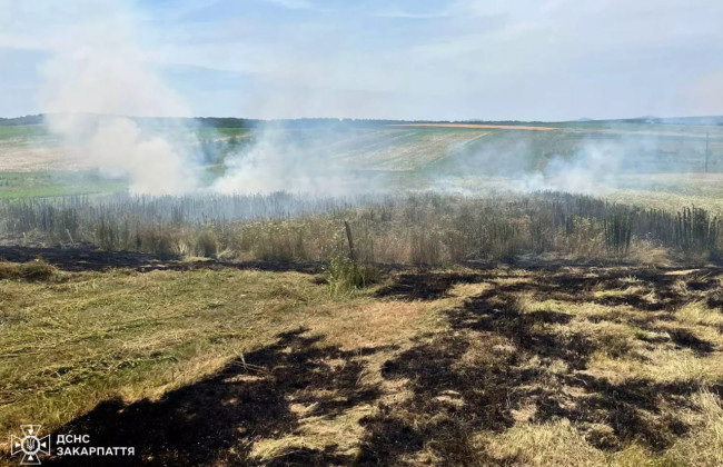 На Закарпатті пенсіонерка загинула в пожежі через спалювання сухої трави