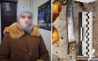 На Хмельниччині судитимуть жінку, яка під час застілля вдарила свого співмешканця ножем у груди