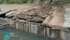 Аммиак, фенолы и сероводород в реке Лыбидь – в Киеве будут судить водителя ассенизационной машины