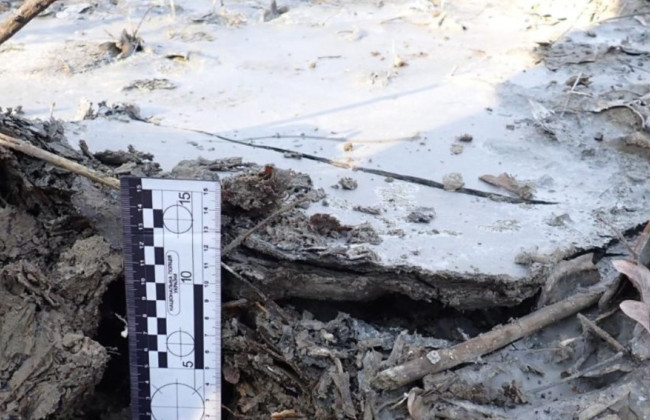 В Киеве будут судить мужчину, который слив остатки бетона в лесопарковом хозяйстве «Конча-Заспа»