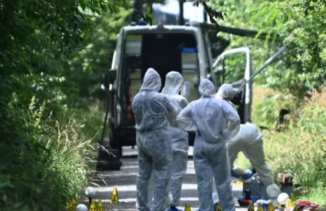 В МИД сделали заявление по поводу убийства украинки и ее дочери в Германии