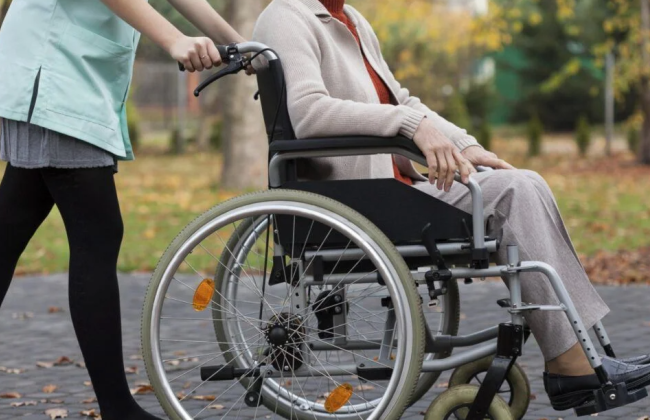 Как подать онлайн-заявление на услугу дневного ухода — алгоритм действий