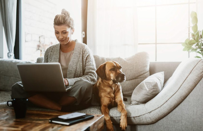 Стало известно, может ли работник требовать введения для него дистанционной работы