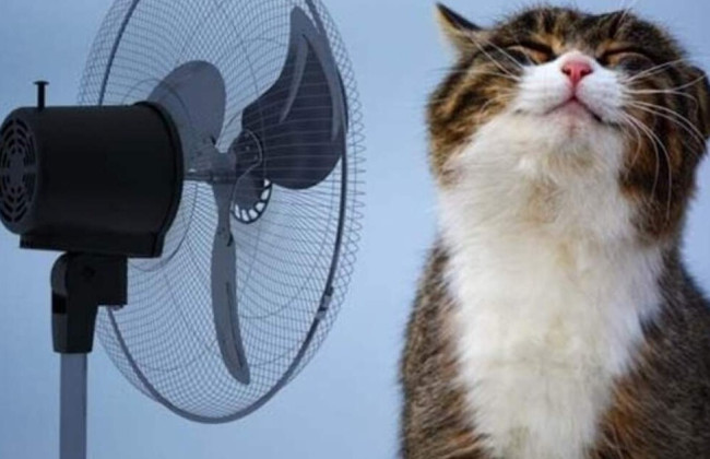 Спека посилюється: 7 липня у Києві прогнозують 34°C, в області – 36°C