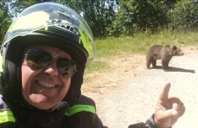 Роковое селфи – медведь загрыз туриста, который пытался покормить его с рук