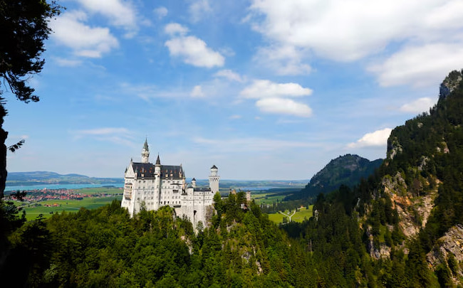 В Германии туристка закрыла собаку в камере хранения и пошла осматривать замок Нойшванштайн