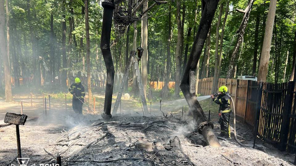 У Києві спалахнула декорація просто неба у парку, фото
