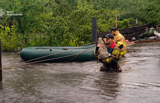 На Львовщине из-за ливней произошли подтопления – пострадала автодорога «Львов – Пустомыты – Меденичи»