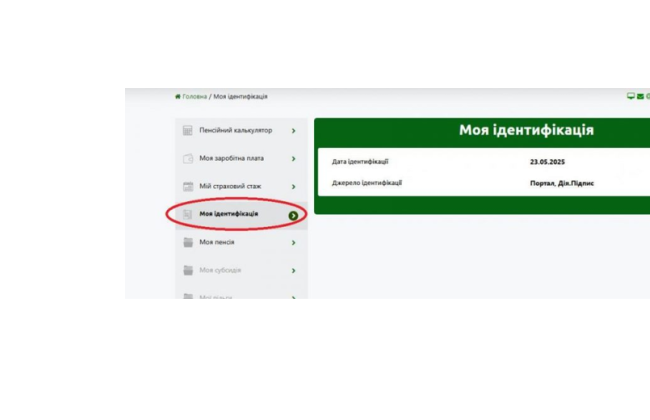 Для контроля идентификации для пенсионеров запустили новый сервис на портале Пенсионного фонда