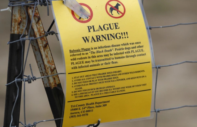 У США зафіксували смерть від чуми — перший випадок із 2007 року