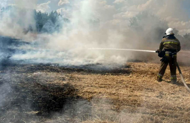 Николаевскую область охватили масштабные пожары — произошло 57 возгораний