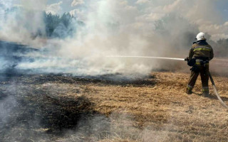 Миколаївську області охопили масштабні пожежі — сталося 57 загорянь