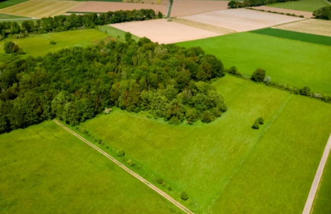 В Киевской области разоблачили схему завладения землей — подозревают землеустроителя и главного архитектора сельсовета