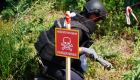 Верховная Рада остановила действие Оттавской конвенции о запрете противопехотных мин для Украины