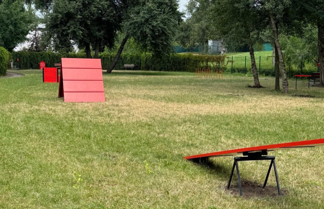 В парке «Наталка» в Киеве открыли площадку для выгула и дрессировки собак – фото