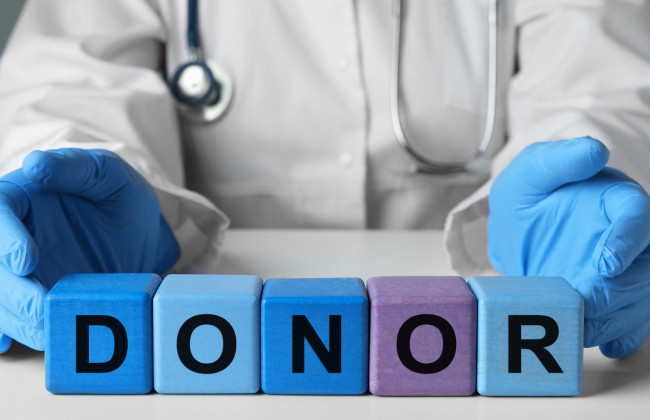 Посмертное донорство в Украине — как дать согласие и когда это запрещено