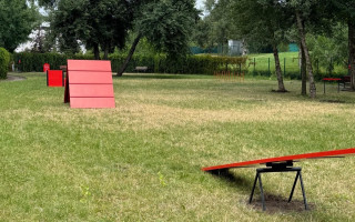 В парке «Наталка» в Киеве открыли площадку для выгула и дрессировки собак – фото