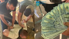 В Житомирской области чиновник горсовета требовал 4 тысячи долларов за фиктивную должность с бронированием