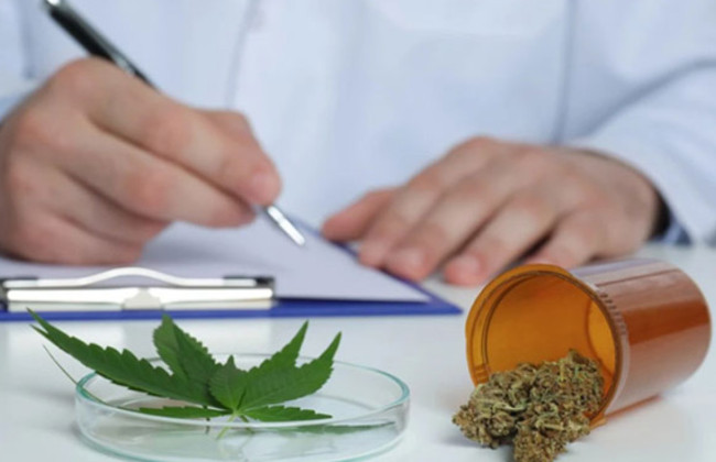 В Украине интегрировали систему учета медицинского каннабиса с ЭСЗ — зачем это нужно