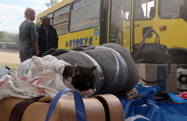 У ЦПД спростували фейки про «несвоєчасну евакуацію» на Запоріжжі