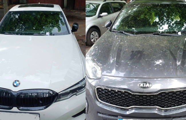 Оставили авто на зеленой зоне — в Киеве наказали ряд «героев парковки», фото