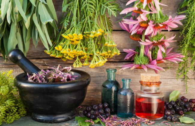 Правительство поддержало отмену штрафов за нарушение правил занятия народной медициной