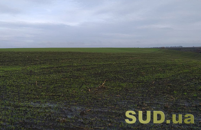 Рівненський апеляційний суд ухвалив рішення про витребування спірних земельних ділянок у власність територіальної громади