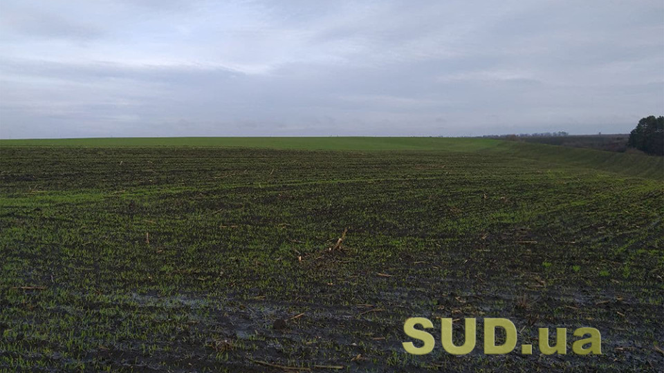 Рівненський апеляційний суд ухвалив рішення про витребування спірних земельних ділянок у власність територіальної громади