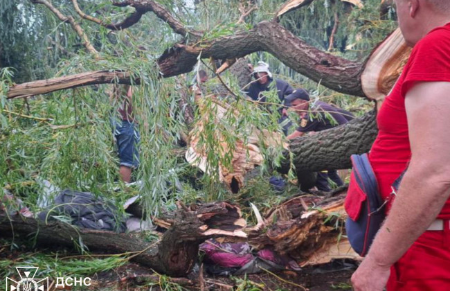 В Одесской области во время непогоды дерево упало на палатку с подростками — один погиб