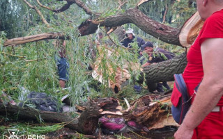 На Одещині під час негоди дерево впало на намет з підлітками — один загинув