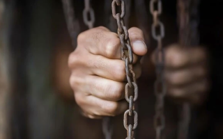 На Закарпатті судили 70-річного чоловіка, який тримав жінку на ланцюгу більше тижня