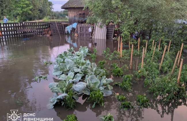 Непогода в Украине вызвала подтопления и отключения света: фото последствий