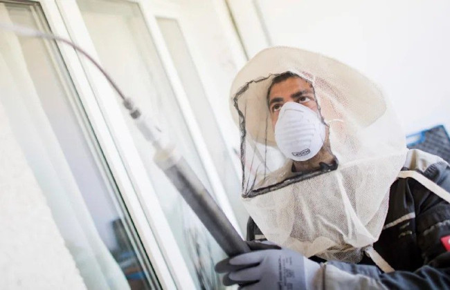 В США на ядерном объекте нашли радиоактивно зараженное осиное гнездо