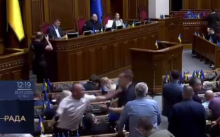 В Верховной Раде подрались депутаты, а Марьяна Безуглая ходит с табличкой «власть это народ», видео