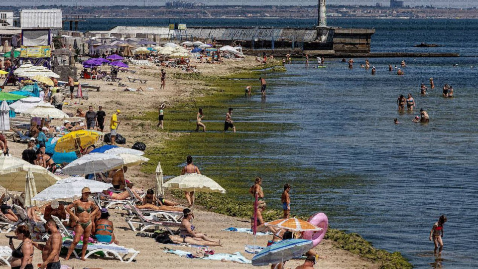 В Одесі після шторму пляжі вкрилися зеленим килимом з водоростей, відео