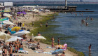 В Одесі після шторму пляжі вкрилися зеленим килимом з водоростей, відео