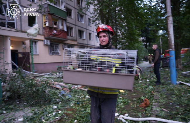 В Киеве из-под завалов после обстрела достали живых кошек, собаку, попугаев и кролика – фото