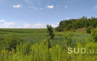 Апелляционный суд признал недействительным договор аренды земельного участка, заключенный между сельским советом и физическим лицом — детали дела