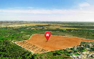 Велика Палата ВС висловилася щодо належного способу захисту прав орендодавця в разі неповернення орендованої землі