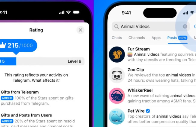 Глобальный поиск, рейтинг профиля и группировка историй — в Telegram появились новые функции