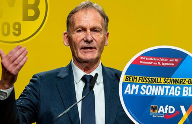 Футбольный клуб «Боруссия» подал в суд на «Альтернативу для Германии» из-за рекламы партии